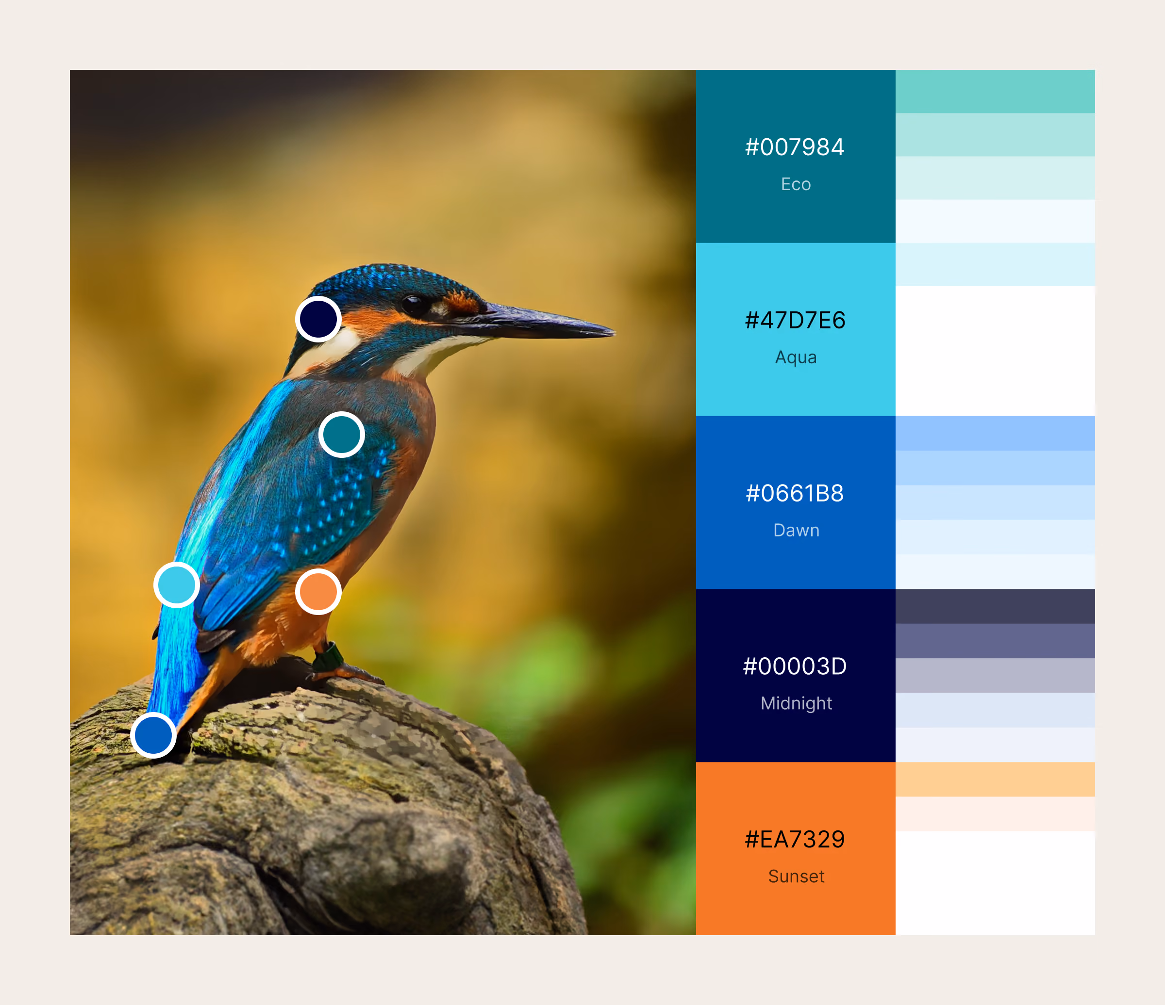 Kingfisher bird with color circles matching palette labeled Eco, Aqua, Dawn, Midnight, and Sunset.